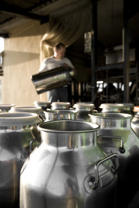 Parmigiano+Reggiano+bidoni+del+latte